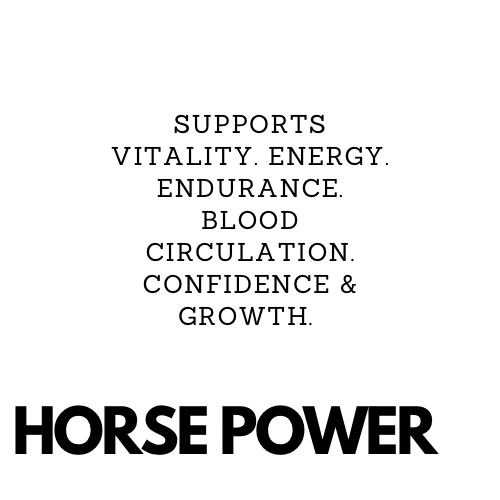 HORSE POWER - Vitality for Men